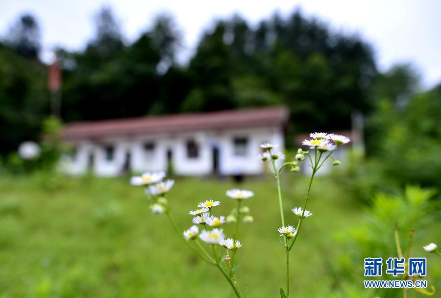 #（社会）（10）没有小学生的“微小学”